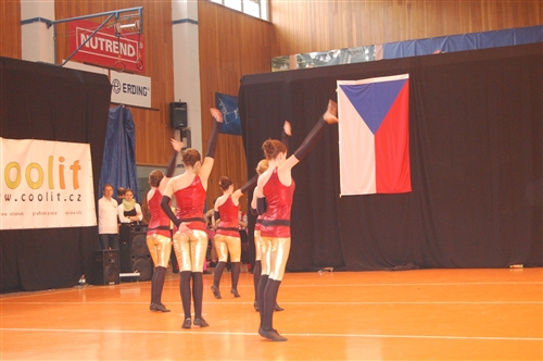 Obrázek v galerii