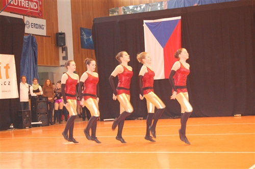 Obrázek v galerii