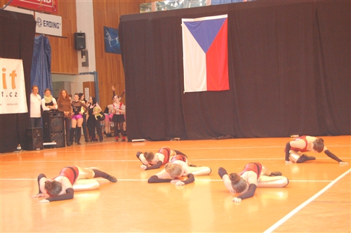 Obrázek v galerii