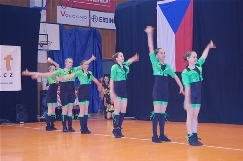 Obrázek v galerii