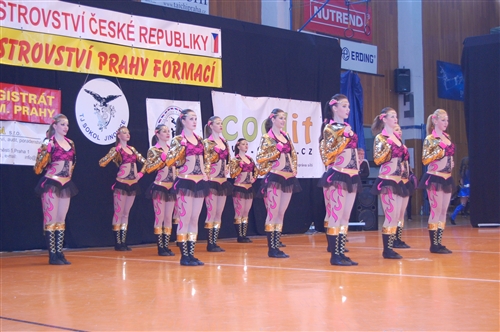 Obrázek v galerii