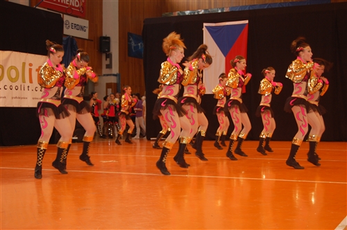 Obrázek v galerii