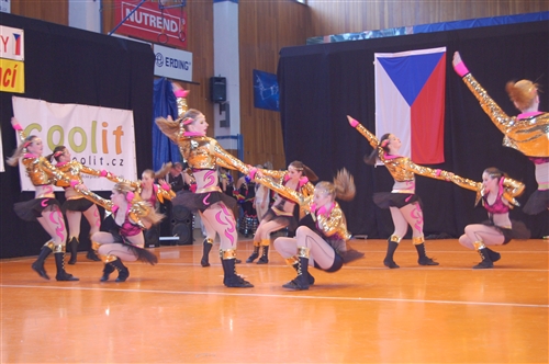 Obrázek v galerii