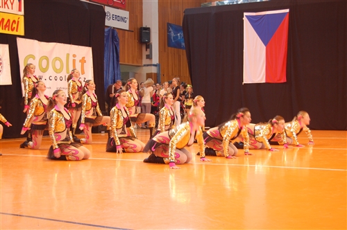 Obrázek v galerii