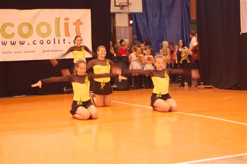 Obrázek v galerii