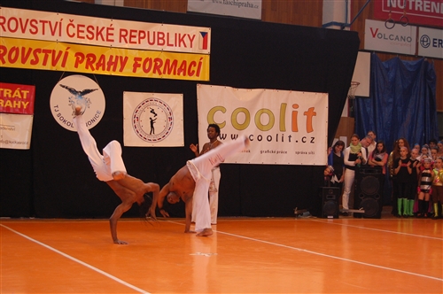 Obrázek v galerii
