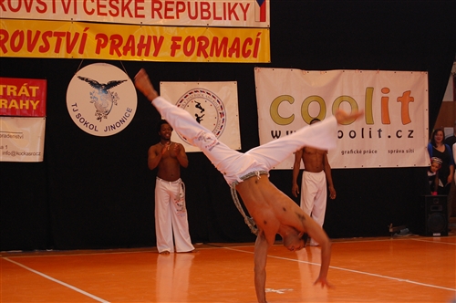 Obrázek v galerii