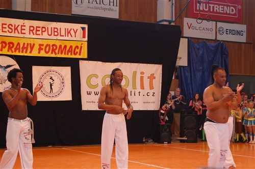 Obrázek v galerii