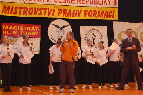 Obrázek v galerii