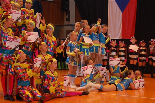 Obrázek v galerii