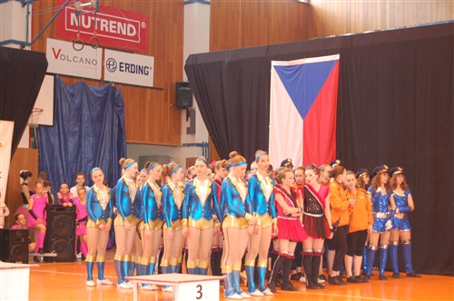 Obrázek v galerii