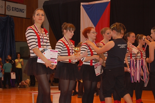 Obrázek v galerii