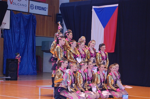 Obrázek v galerii