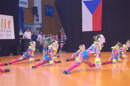 Obrázek v galerii