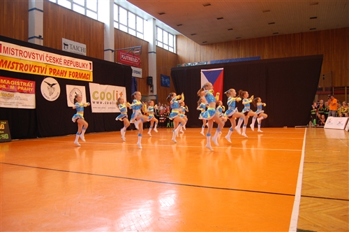 Obrázek v galerii