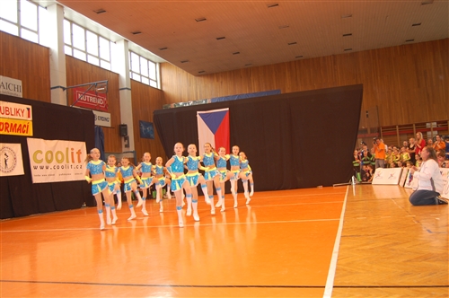 Obrázek v galerii
