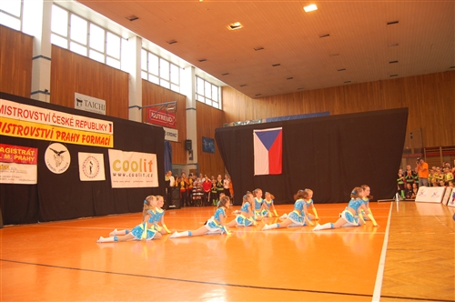Obrázek v galerii