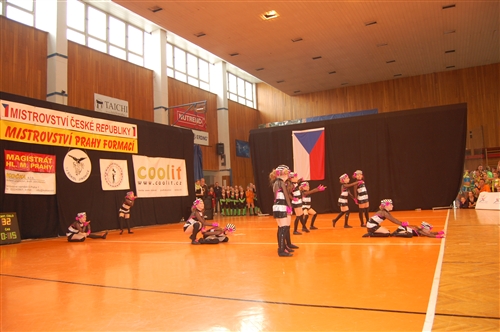 Obrázek v galerii