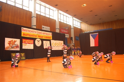 Obrázek v galerii