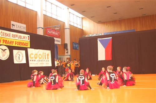Obrázek v galerii