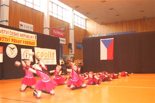 Obrázek v galerii