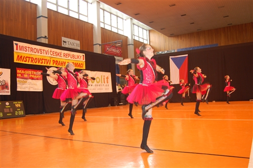 Obrázek v galerii