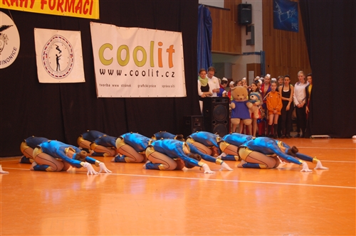 Obrázek v galerii