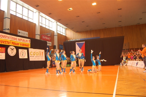 Obrázek v galerii