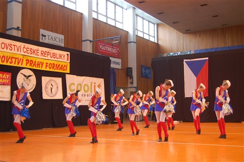 Obrázek v galerii