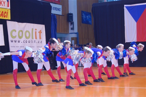 Obrázek v galerii