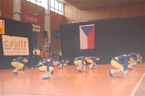 Obrázek v galerii