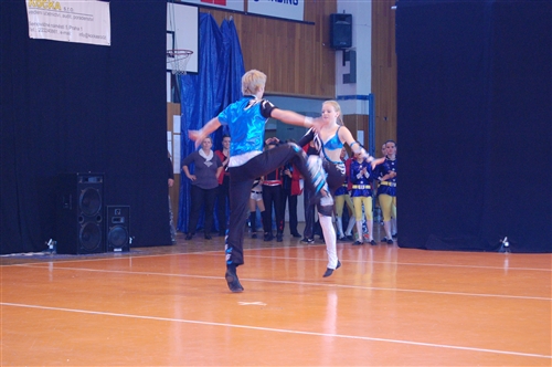 Obrázek v galerii