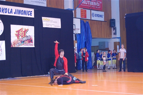 Obrázek v galerii