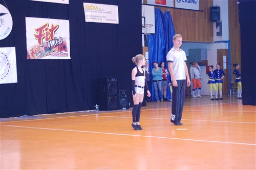 Obrázek v galerii