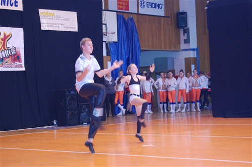 Obrázek v galerii