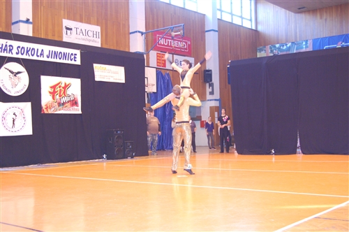 Obrázek v galerii