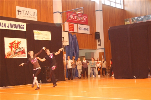 Obrázek v galerii