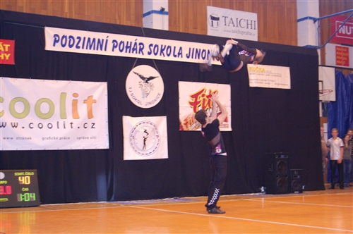 Obrázek v galerii