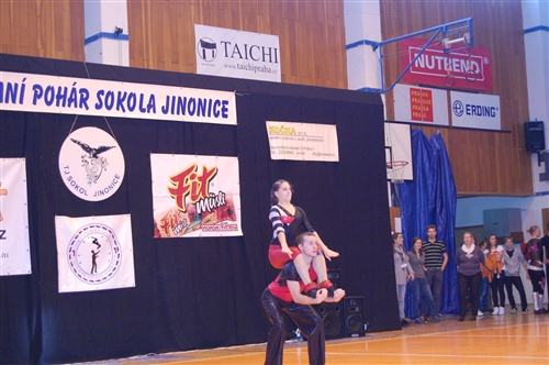 Obrázek v galerii