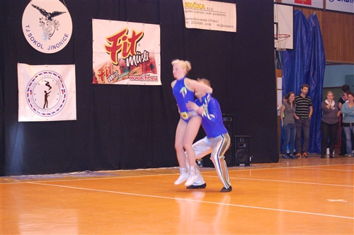 Obrázek v galerii