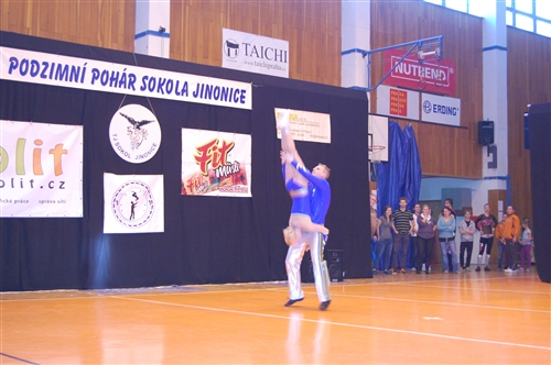 Obrázek v galerii