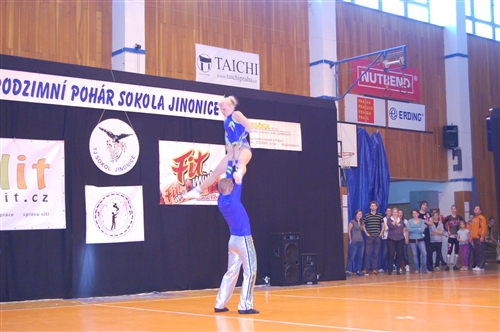 Obrázek v galerii