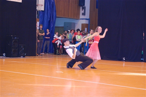 Obrázek v galerii