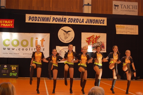 Obrázek v galerii