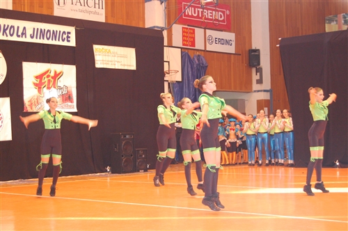 Obrázek v galerii