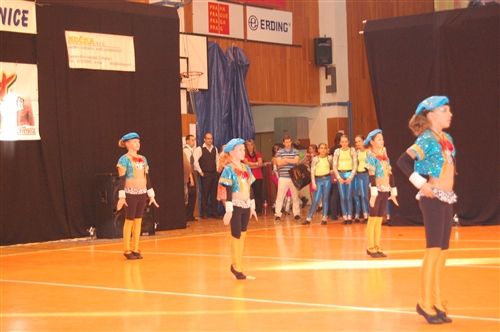 Obrázek v galerii