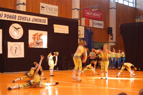 Obrázek v galerii