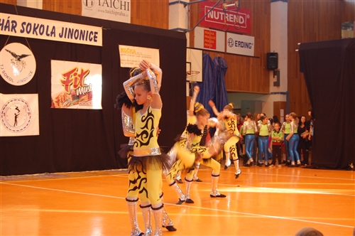 Obrázek v galerii