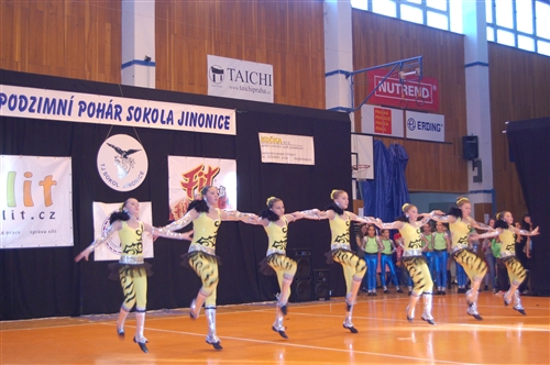 Obrázek v galerii