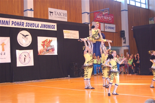 Obrázek v galerii